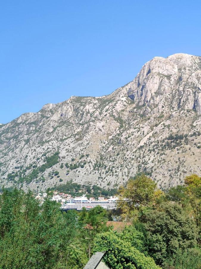 Apartman Dolcerosa Kotor Exterior foto